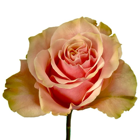 💚💙❤️💛🧡💚💙❤️💛🧡💚💙❤️💛🧡 - Picture 3 of 14